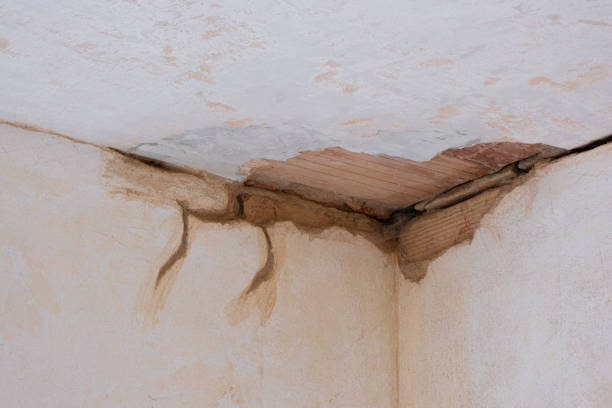 Best Residential water damage restoration  in Hallsville, TX