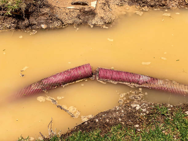 Best Local water damage restoration  in Hallsville, TX
